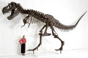 Tyrannosaurus rex "SUE" won in her day in court.